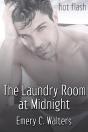 The Laundry Room At Midnight - Preview