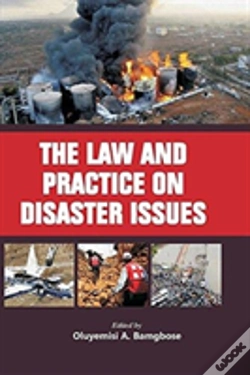 Capa do artigo The Law And Practice On Disaster Issues