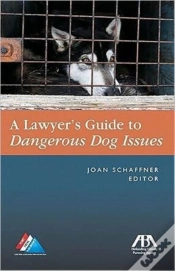 Capa do artigo The Lawyer