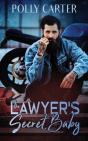 The Lawyer'S Secret Baby - Preview