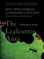 The Leafcutter Ants - Preview