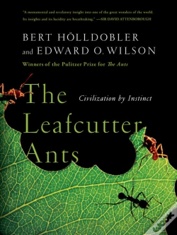Capa do artigo The Leafcutter Ants