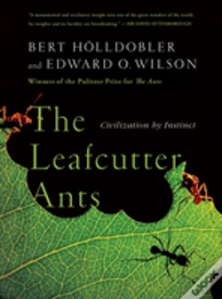 Capa do artigo The Leafcutter Ants