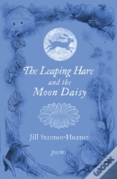 The Leaping Hare And The Moon Daisy