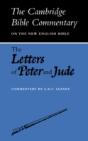 The Letters Of Peter And Jude - Preview