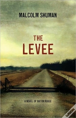 Capa do artigo The Levee