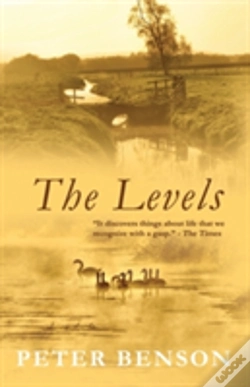 Capa do artigo The Levels