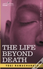 Capa do artigo The Life Beyond Death