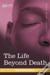 Capa do artigo The Life Beyond Death