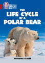 The Life Cycle Of A Polar Bear - Preview
