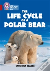 Capa do artigo The Life Cycle Of A Polar Bear