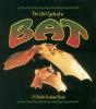 The Life Cycle Of The Bat - Preview