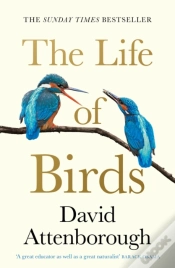 Capa do artigo The Life Of Birds