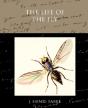 The Life Of The Fly - Preview