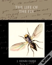 The Life Of The Fly