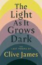 The Light As It Grows Dark - Preview