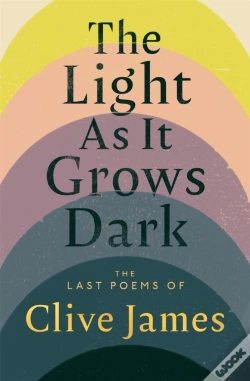 Capa do artigo The Light As It Grows Dark