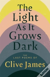 Capa do artigo The Light As It Grows Dark