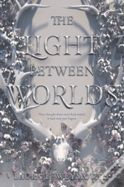 Capa do artigo The Light Between Worlds