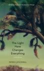 The Light Here Changes Everything - Preview