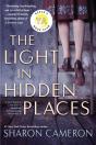 The Light In Hidden Places - Preview