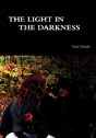 The Light In The Darkness - Preview