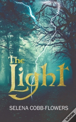 Capa do artigo The Light
