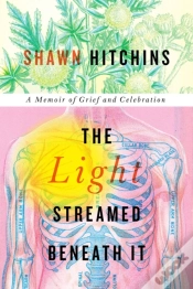 Capa do artigo The Light Streamed Beneath It