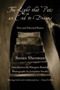 The Light That Puts An End To Dreams - Preview