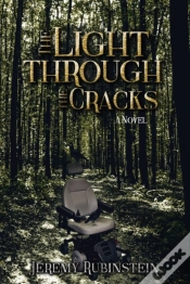 Capa do artigo The Light Through The Cracks