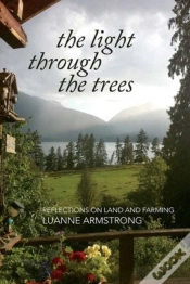 Capa do artigo The Light Through The Trees