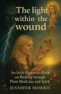 The Light Within The Wound - Preview