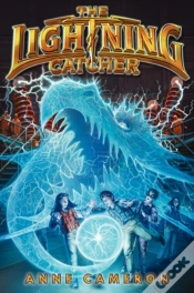 Capa do artigo The Lightning Catcher