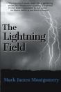 The Lightning Field - Preview