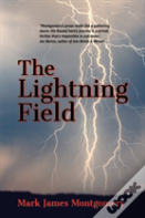 The Lightning Field