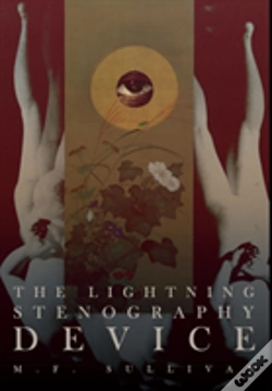 Capa do artigo The Lightning Stenography Device