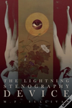 Capa do artigo The Lightning Stenography Device