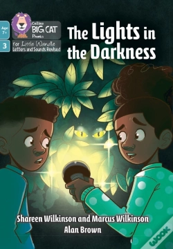 Capa do artigo The Lights In The Darkness