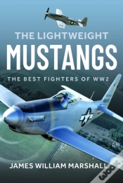 Capa do artigo The Lightweight Mustangs