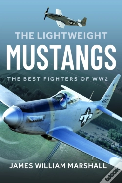 Capa do artigo The Lightweight Mustangs