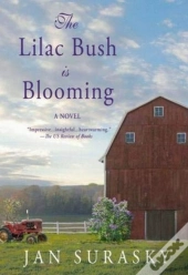 The Lilac Bush Is Blooming