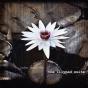 The Lilypad Suite - CD - Preview