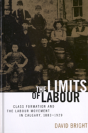 The Limits Of Labour - Preview