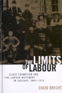 The Limits Of Labour - Preview