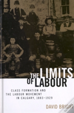 Capa do artigo The Limits Of Labour