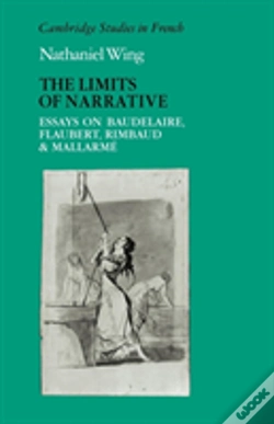 Capa do artigo The Limits Of Narrative