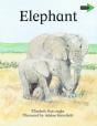 The Lion And The Mouse South African Edition - Preview