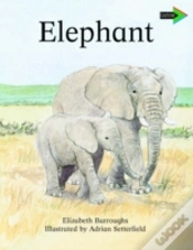 Capa do artigo The Lion And The Mouse South African Edition