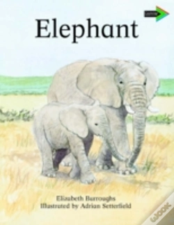 Capa do artigo The Lion And The Mouse South African Edition