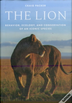 Capa do artigo The Lion